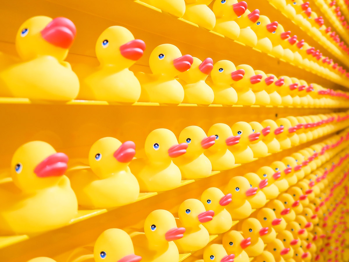 Paradox of Choice und UX-Design