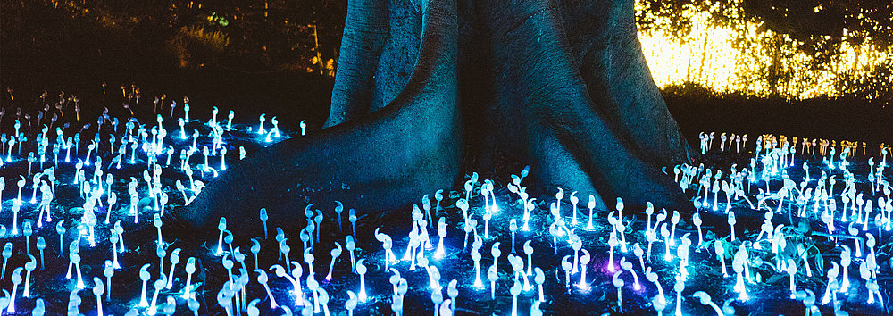 Leuchtende Pflanzen um einen Baustamm